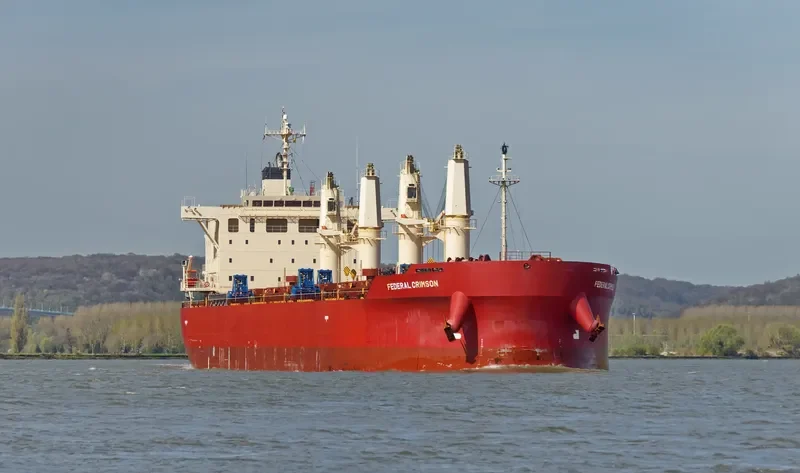 FEDERAL CRIMSON Bulk Carrier IMO 9732151 photo 3
