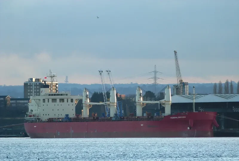 FEDERAL CRIMSON Bulk Carrier IMO 9732151 photo 7