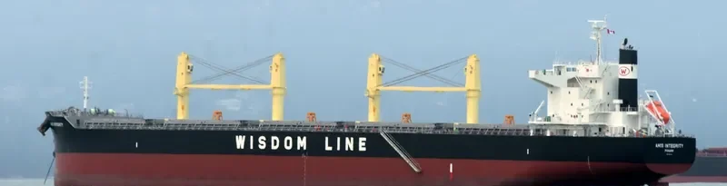 AMIS INTEGRITY Bulk Carrier IMO 9732412 photo 2