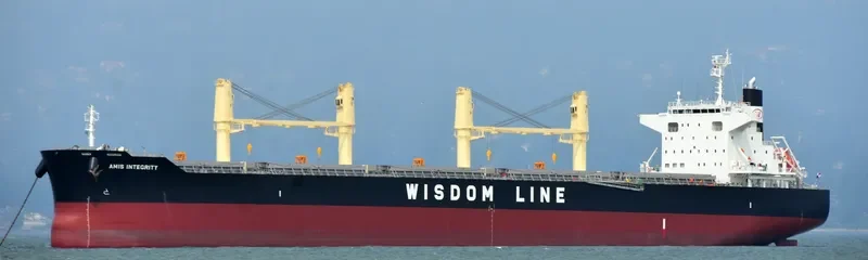 AMIS INTEGRITY Bulk Carrier IMO 9732412 photo 3