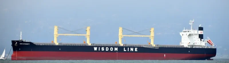 AMIS INTEGRITY Bulk Carrier IMO 9732412 photo 4