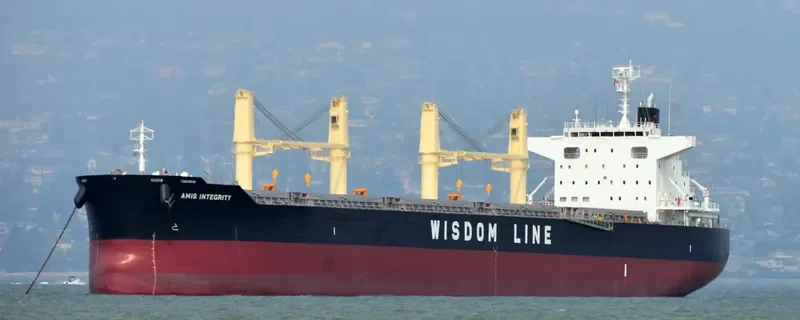 AMIS INTEGRITY Bulk Carrier IMO 9732412 photo 5