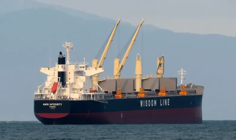 AMIS INTEGRITY Bulk Carrier IMO 9732412 photo 6