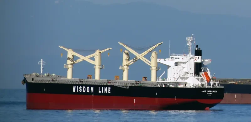 AMIS INTEGRITY Bulk Carrier IMO 9732412 photo 7