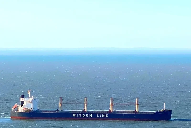 AMIS INTEGRITY Bulk Carrier IMO 9732412 photo 8
