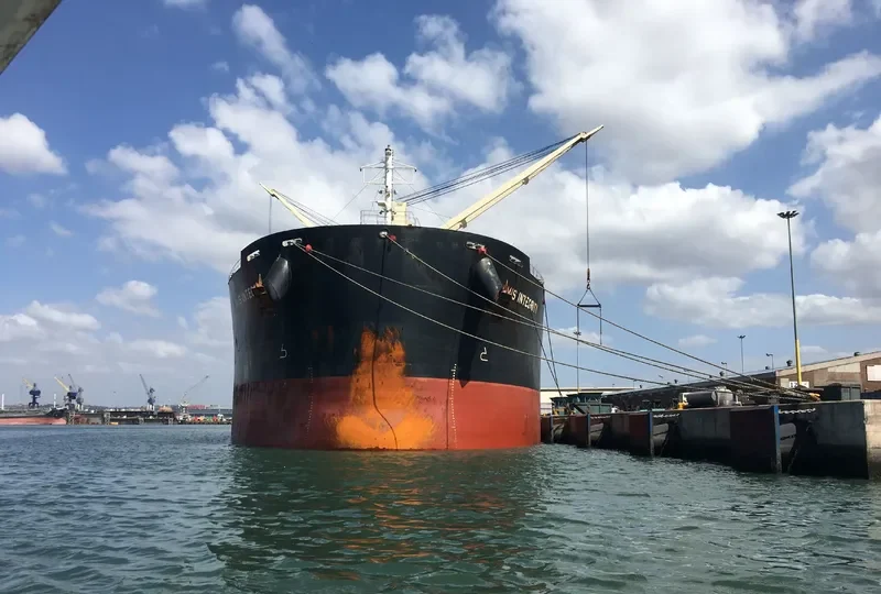 AMIS INTEGRITY Bulk Carrier IMO 9732412 photo 10