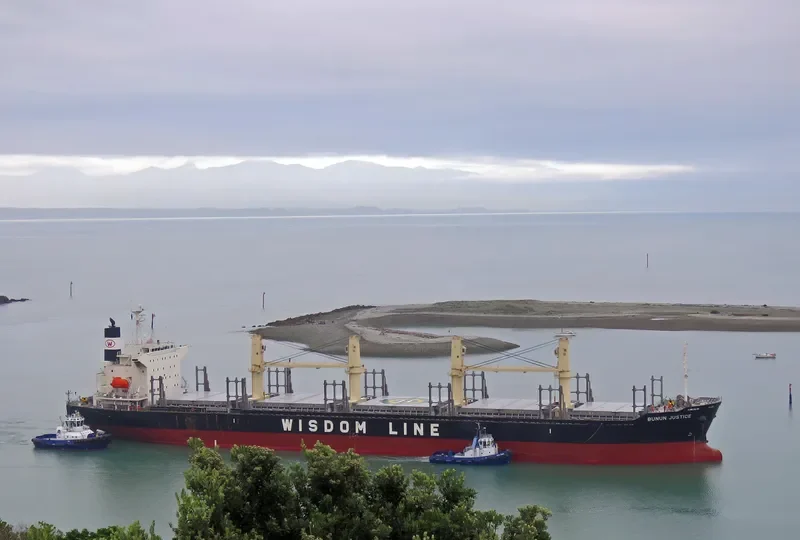 BUNUN JUSTICE Bulk Carrier IMO 9732448 photo 8