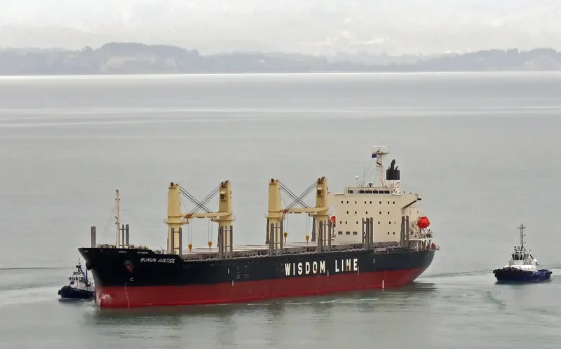 BUNUN JUSTICE Bulk Carrier IMO 9732448 photo 10