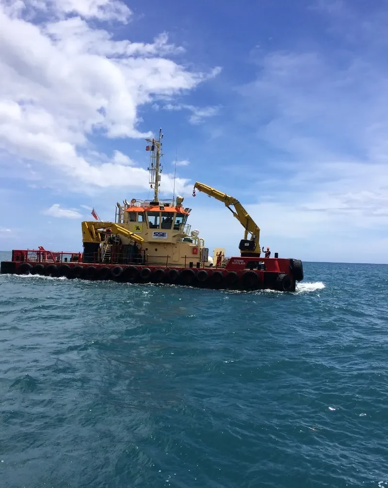 NEPTUN SUPPLIER General Cargo IMO 9732711 photo 3