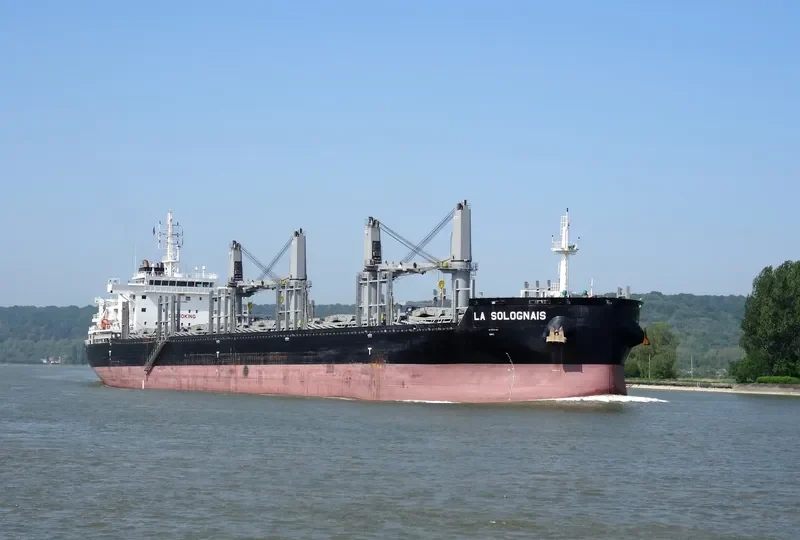 LA SOLOGNAIS Bulk Carrier IMO 9733258 photo 8