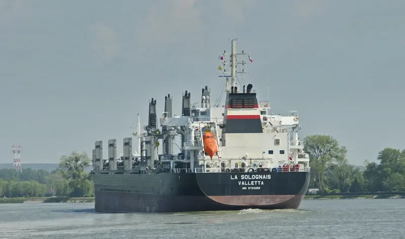 LA SOLOGNAIS Bulk Carrier IMO 9733258 photo 10