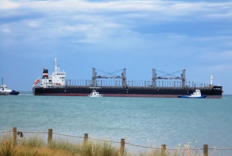 LA SILLONAIS Bulk Carrier IMO 9733284 photo 3