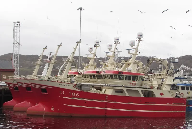 COLMCILLE General Cargo IMO 9734226 photo 5