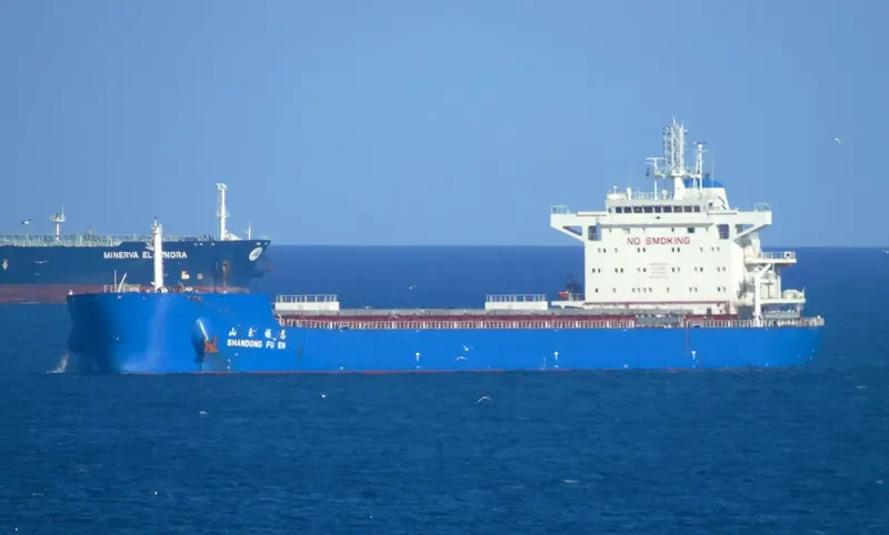 SHANDONG FU EN Bulk Carrier IMO 9734719