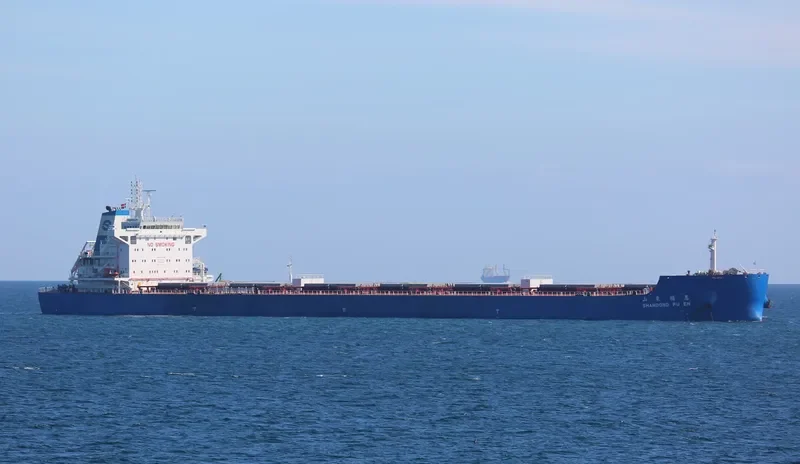 SHANDONG FU EN Bulk Carrier IMO 9734719 photo 2
