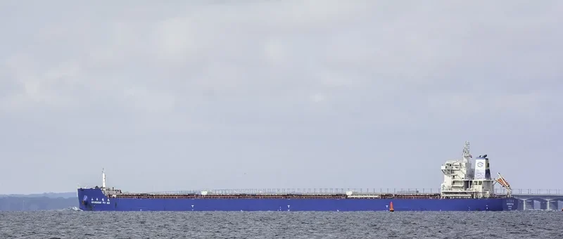 SHANDONG FU EN Bulk Carrier IMO 9734719 photo 5