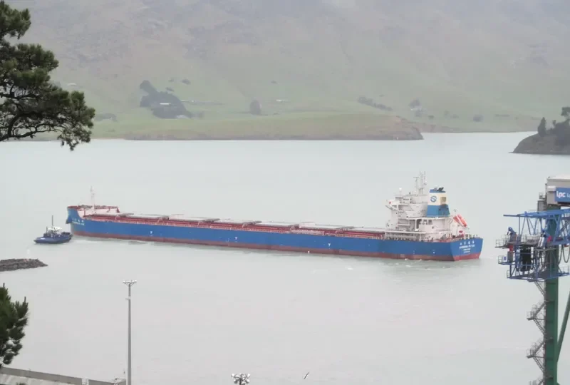 SHANDONG FU YOU Bulk Carrier IMO 9734745