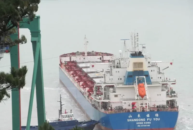 SHANDONG FU YOU Bulk Carrier IMO 9734745 photo 2