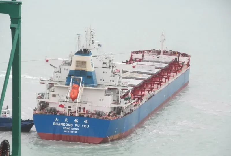 SHANDONG FU YOU Bulk Carrier IMO 9734745 photo 3