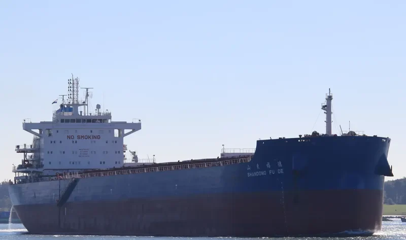 SHANDONG FU DE Bulk Carrier IMO 9734757 photo 10