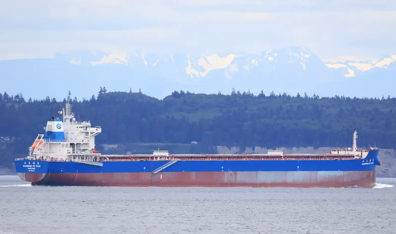 SHANDONG FU YUAN Bulk Carrier IMO 9734769 photo 2