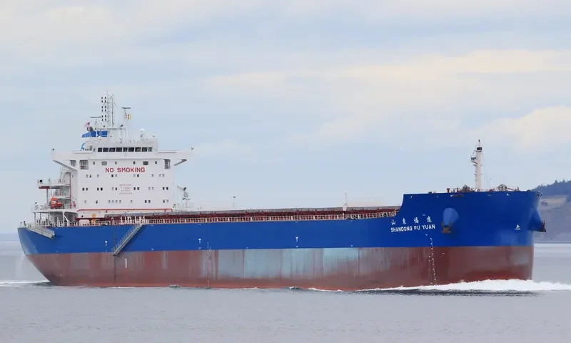 SHANDONG FU YUAN Bulk Carrier IMO 9734769 photo 3