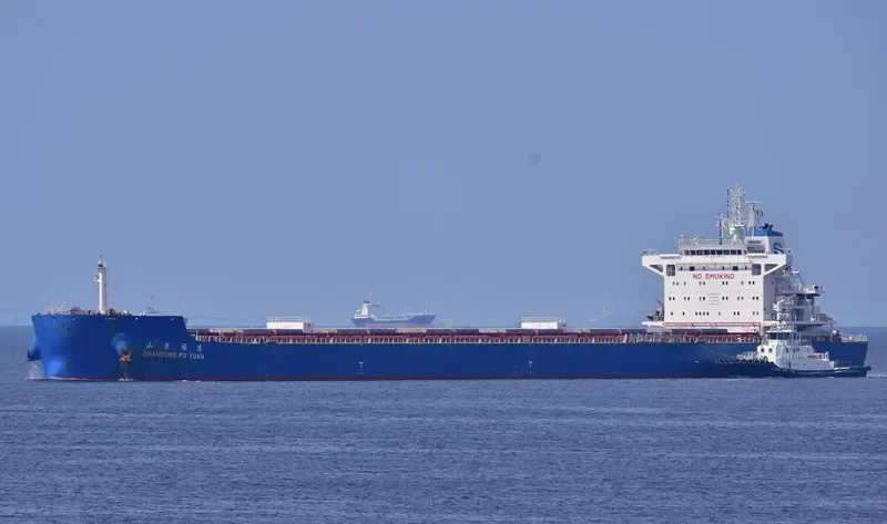 SHANDONG FU YUAN Bulk Carrier IMO 9734769 photo 6