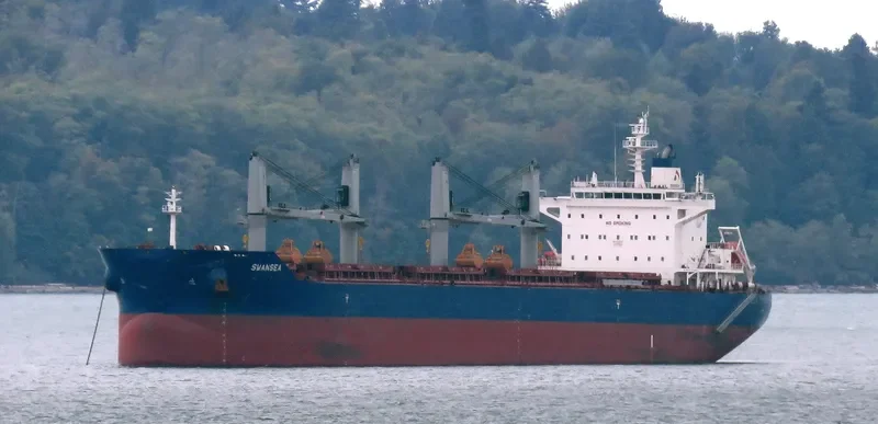 SWANSEA Bulk Carrier IMO 9735115