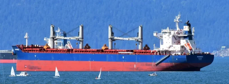 SWANSEA Bulk Carrier IMO 9735115 photo 2