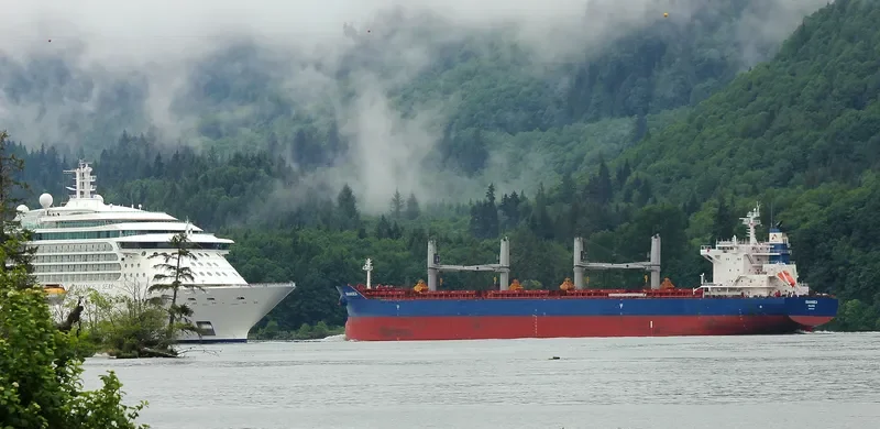 SWANSEA Bulk Carrier IMO 9735115 photo 5