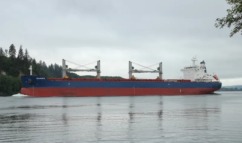 SWANSEA Bulk Carrier IMO 9735115 photo 8