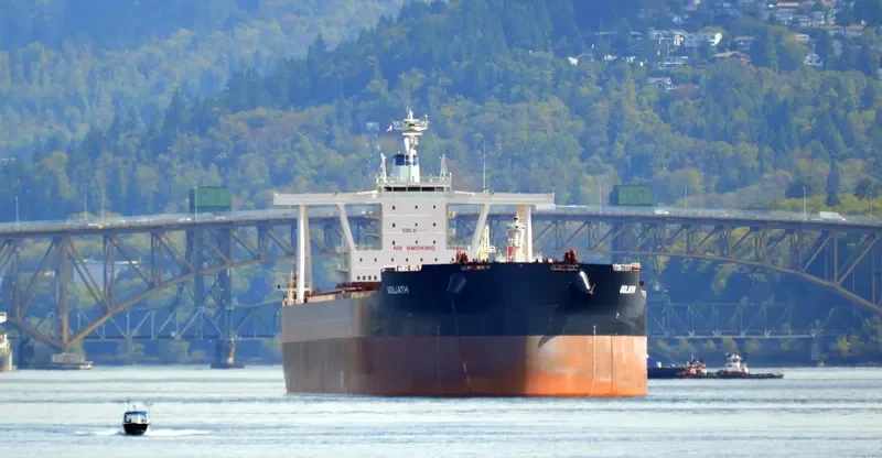 GOLIATH Bulk Carrier IMO 9735153 photo 3