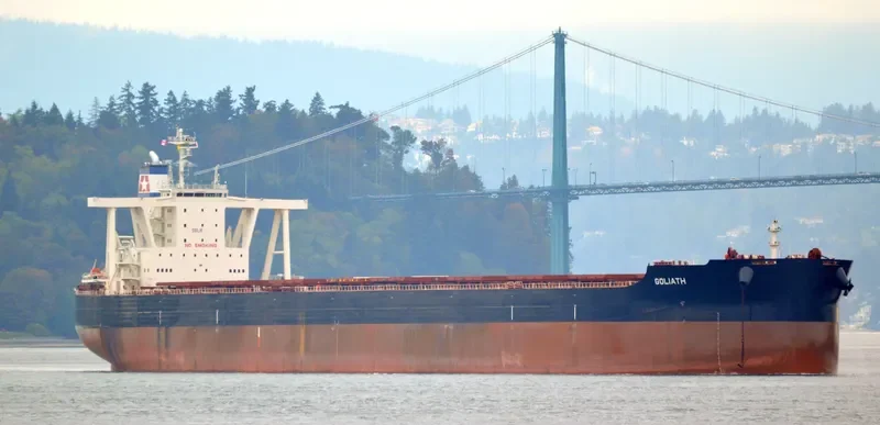 GOLIATH Bulk Carrier IMO 9735153 photo 6