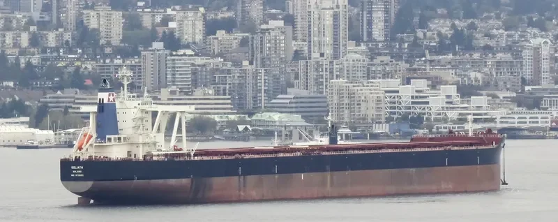GOLIATH Bulk Carrier IMO 9735153 photo 8