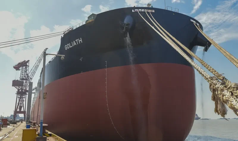 GOLIATH Bulk Carrier IMO 9735153 photo 9