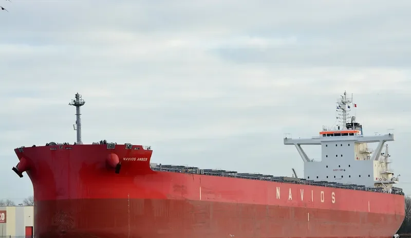 NAVIOS AMBER Bulk Carrier IMO 9736341 photo 6