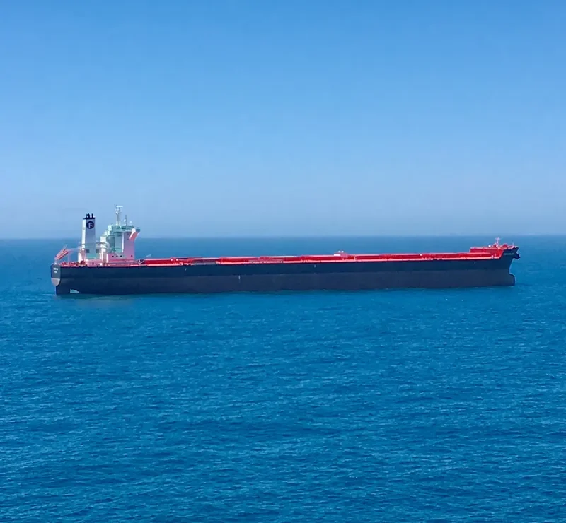 FOMENTO ONE Bulk Carrier IMO 9736729 photo 3