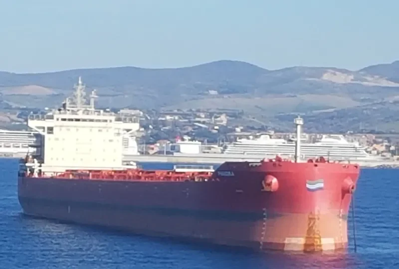 PHAEDRA Bulk Carrier IMO 9737589 photo 7