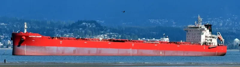 CAPTAIN ADAMS Bulk Carrier IMO 9737618 photo 3