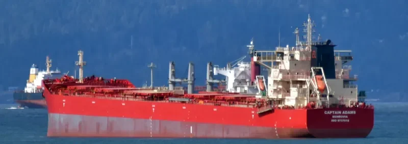 CAPTAIN ADAMS Bulk Carrier IMO 9737618 photo 4