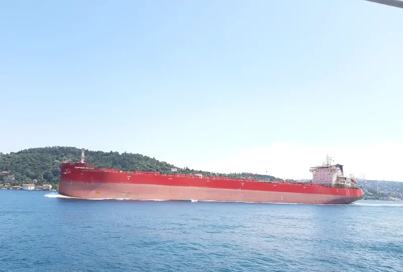 CAPTAIN ADAMS Bulk Carrier IMO 9737618 photo 8