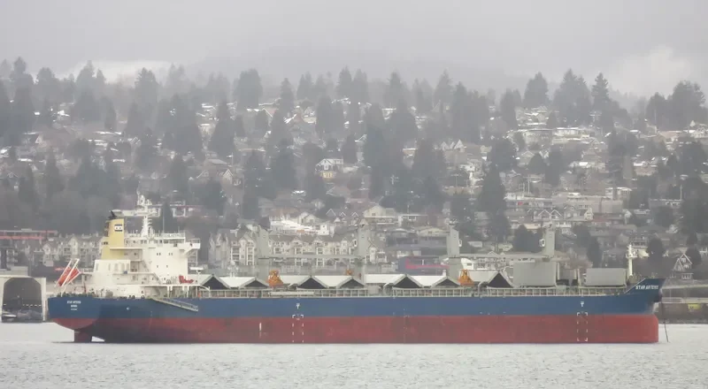 THETIS Bulk Carrier IMO 9738208 photo 3