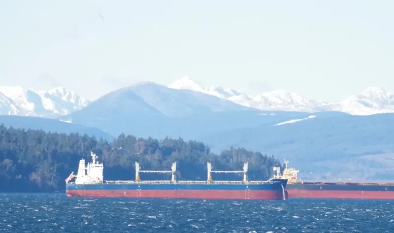 THETIS Bulk Carrier IMO 9738208 photo 4