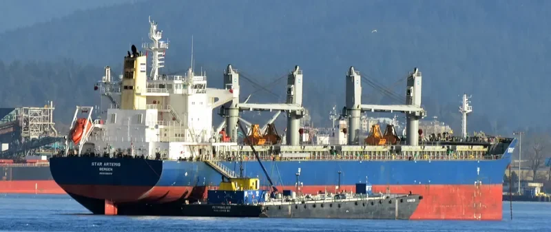 THETIS Bulk Carrier IMO 9738208 photo 10