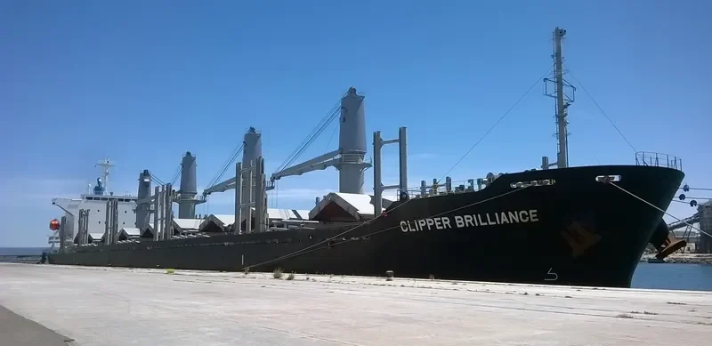 TAIKOO BRILLIANCE Bulk Carrier IMO 9738727 photo 2