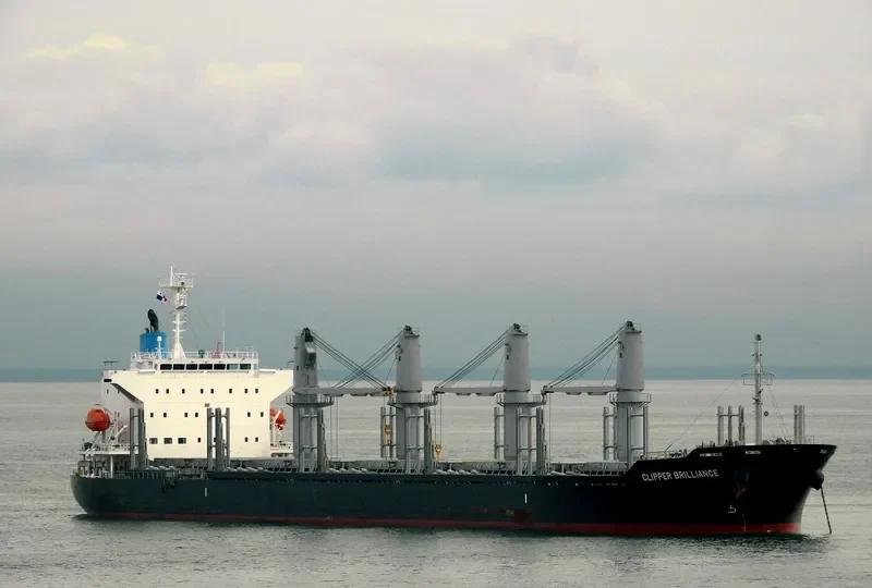 TAIKOO BRILLIANCE Bulk Carrier IMO 9738727 photo 3