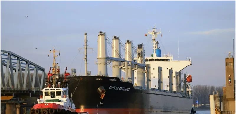 TAIKOO BRILLIANCE Bulk Carrier IMO 9738727 photo 4