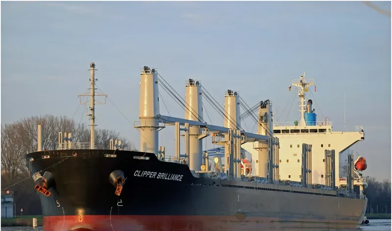 TAIKOO BRILLIANCE Bulk Carrier IMO 9738727 photo 5