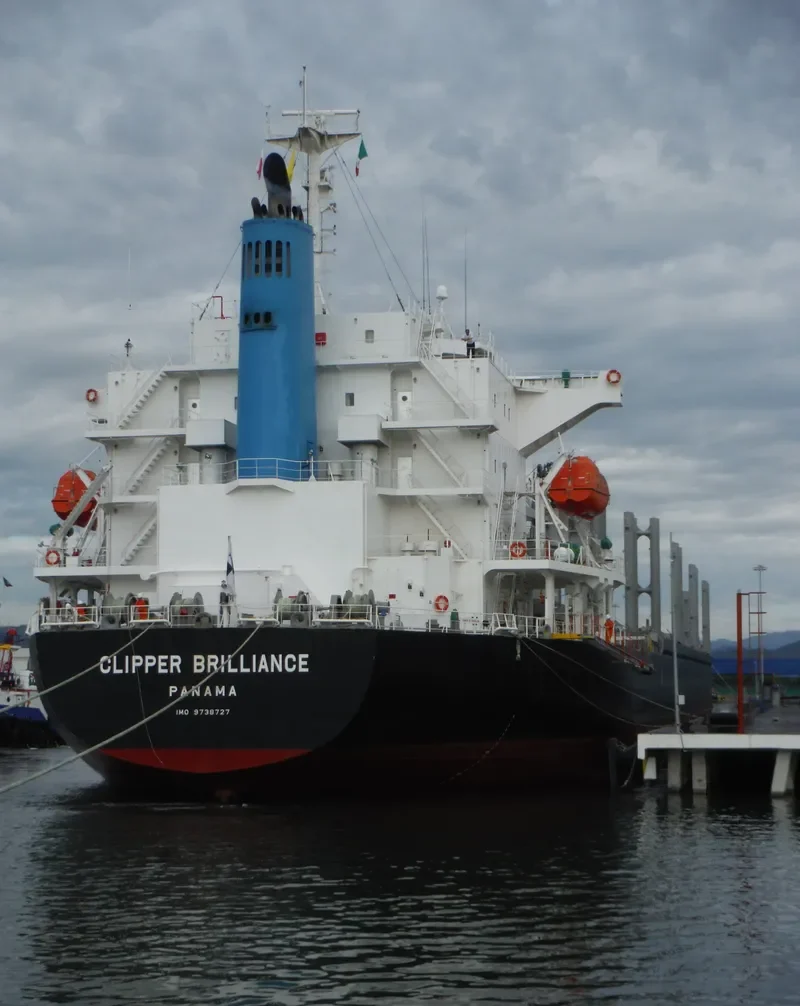 TAIKOO BRILLIANCE Bulk Carrier IMO 9738727 photo 7