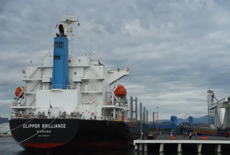 TAIKOO BRILLIANCE Bulk Carrier IMO 9738727 photo 8